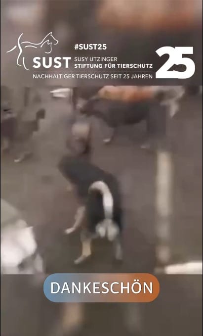 19201920p1014EDNmainimg-2025_01_Zhmerinka_-Oblast_Winnyzja_-Ukraine