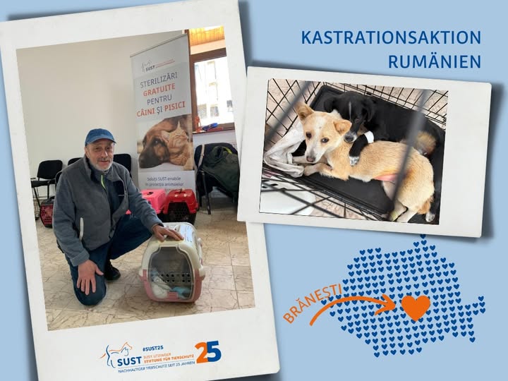 19201920p1014EDNmainimg-2025_03_Kastrationsaktion_Rumänien