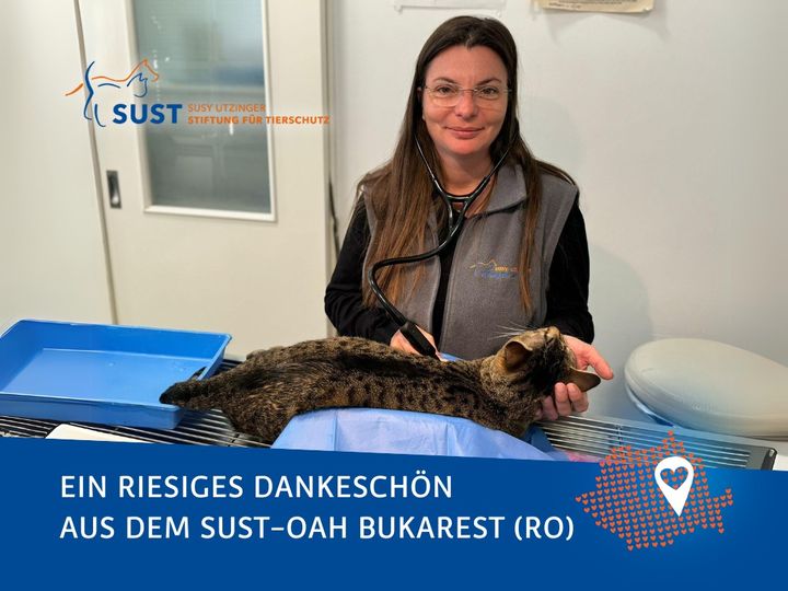19201920p1351EDNmainimg-2024_10_Dankeschön_OAH_Bukarest