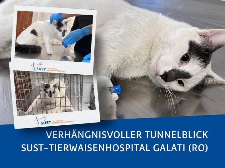 19201920p1352EDNmainimg-2025_02_OAH_Galati_Tunnelblick