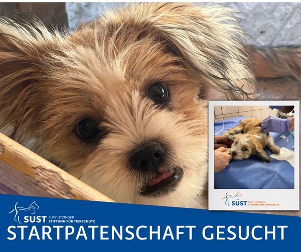 19201920p1365EDNmainimg-2024_10_Startpatenschaft_Winjana