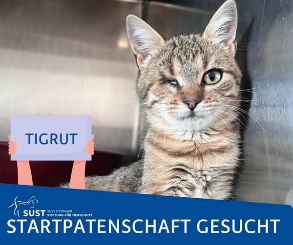 19201920p1365EDNmainimg-2025_01_startpatenschaft_Tigrut