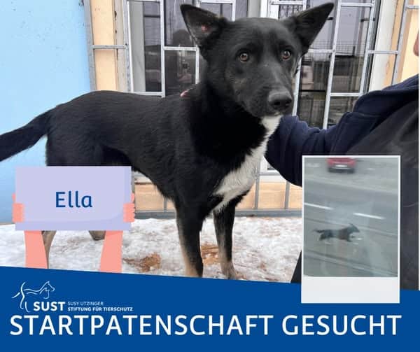19201920p1365EDNmainimg-2025_02_Startpatenschaft_Ella