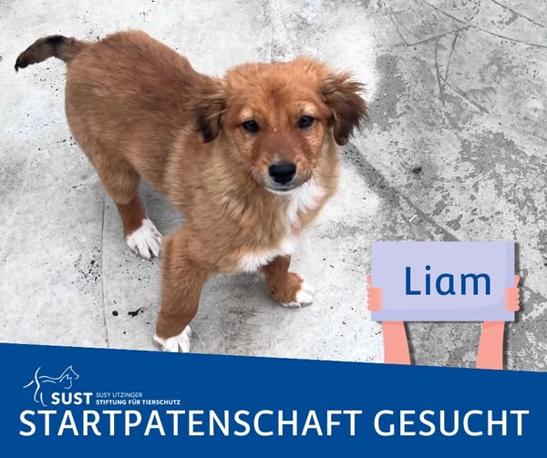 19201920p1365EDNmainimg-2025_03_Startatenschaft_Liam