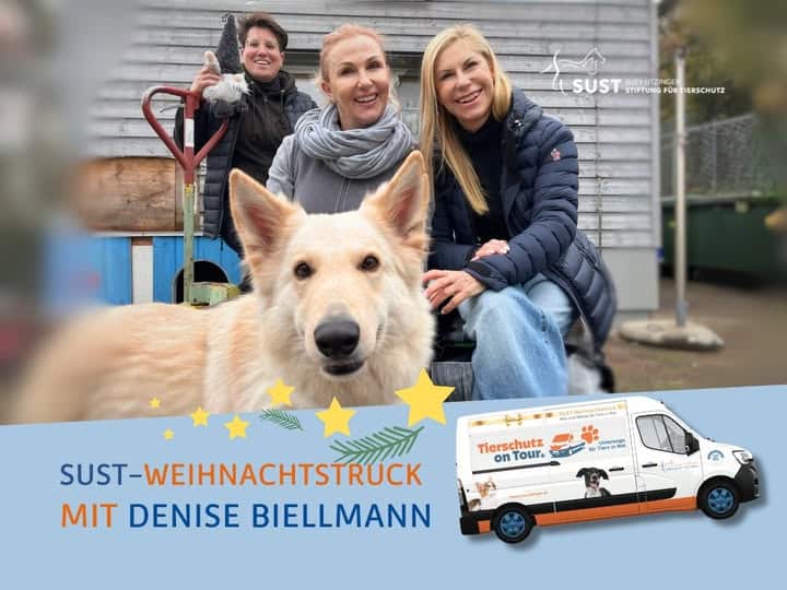 19201920p1390EDNmainimg-2024_11_Weihnachtstruck_Denise_Biellmann