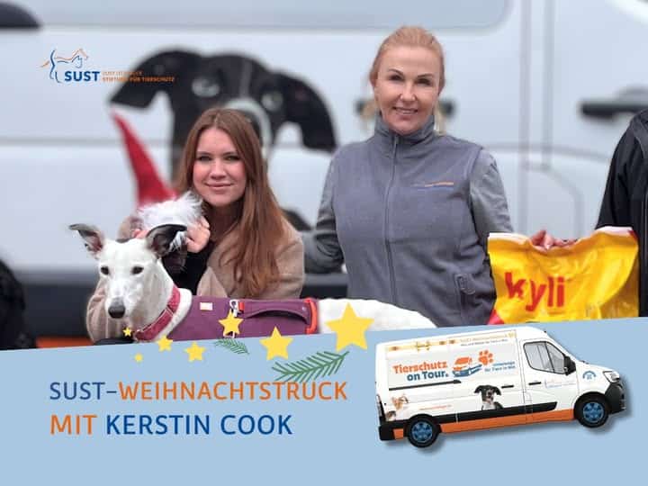 19201920p1390EDNmainimg-2024_11_Weihnachtstruck_Kerstin_Cook