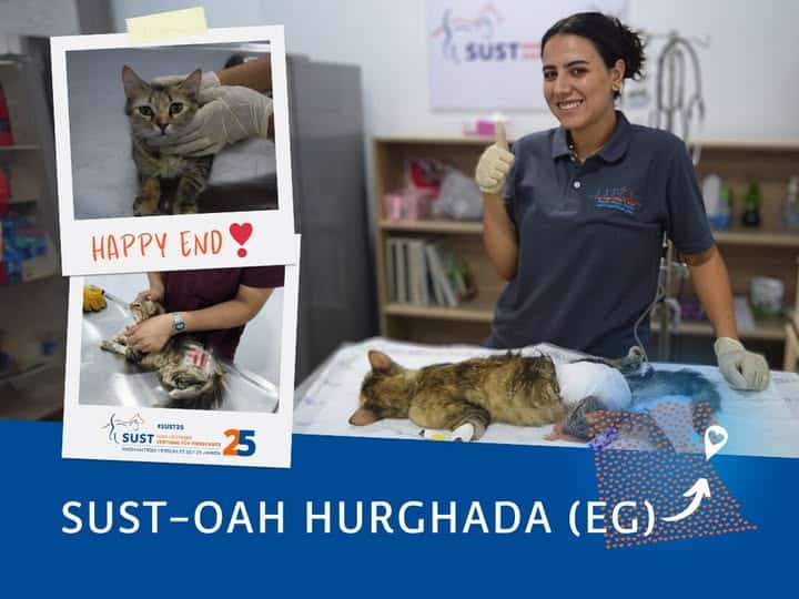 19201920p1604EDNmainimg-2025_02_OAH_Hurghada_Happy_End