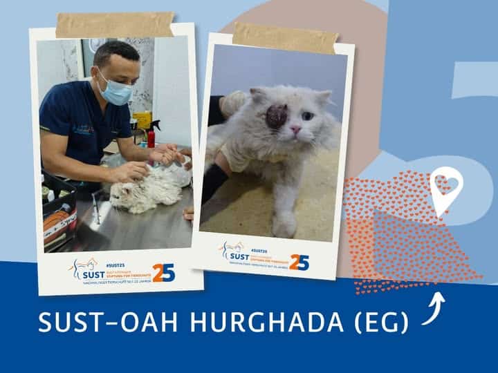 19201920p1604EDNmainimg-2025_04_OAH_Hurghada