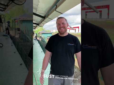 19201920p1750EDNmainimg-Kl6_UId7ffs