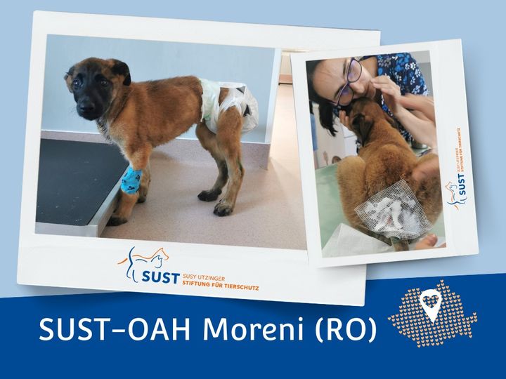 19201920p1927EDNmainimg-2024_08_OAH_Moreni_Oscar