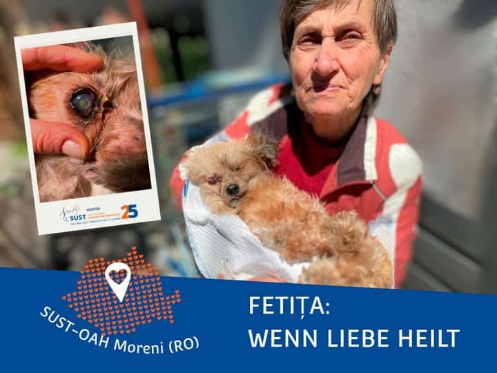 19201920p1927EDNmainimg-2025_06_OAH_Moreni_Fetita