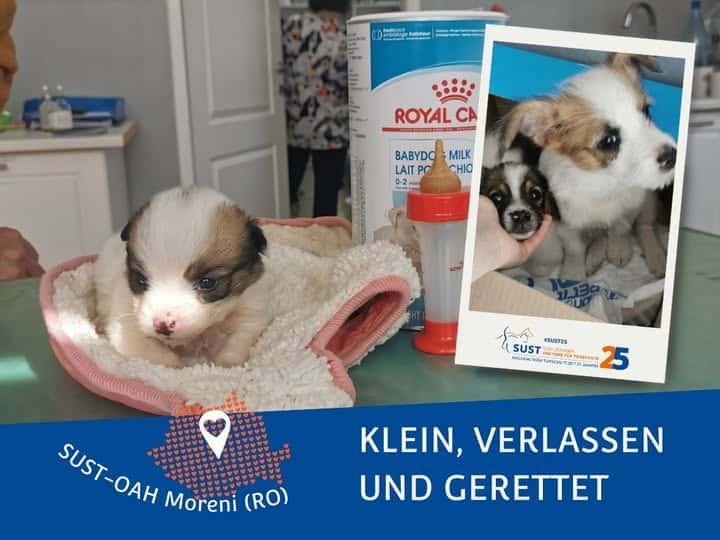 19201920p1927EDNmainimg-2025_06_OAH_Moreni_Luna