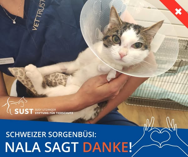 19201920p2391EDNmainimg-2025_04_Nala_sagt_-Danke