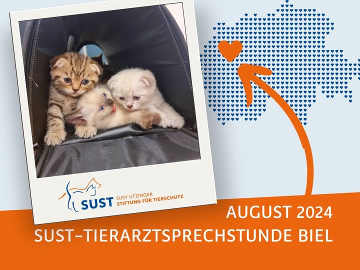 19201920p920EDNmainimg-2024_08_Tierarztsprechstunde_Biel