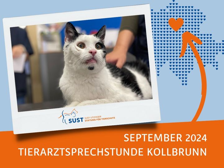 19201920p920EDNmainimg-2024_09_Tierarztsprechstunde_Kollbrunn
