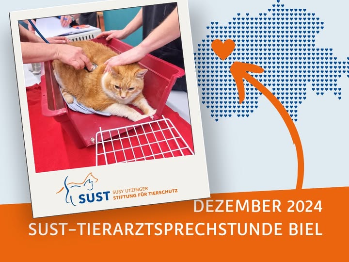 19201920p920EDNmainimg-2024_12_Tierarztsprechstunde_Biel