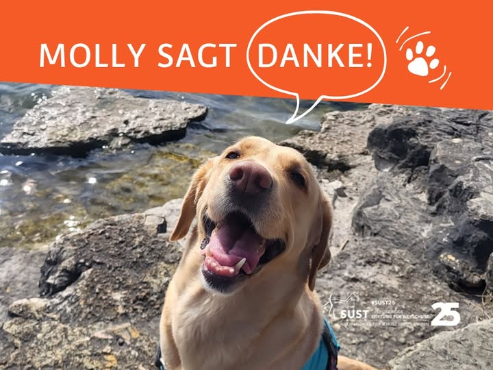 19201920p920EDNmainimg-2025_03_SOFT_Molly