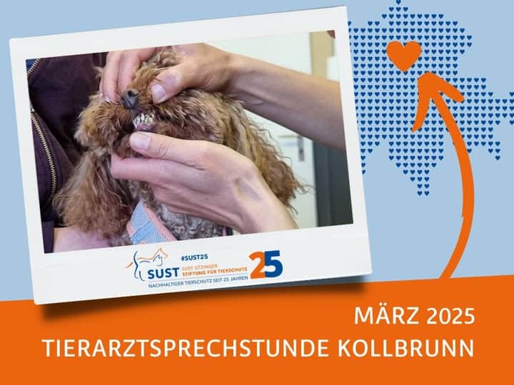 19201920p920EDNmainimg-2025_03_Tierarztsprechstunde_Kollbrunn (1)
