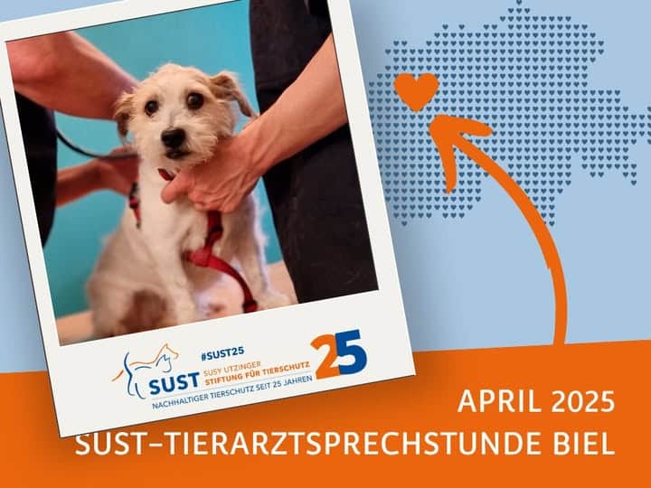 19201920p920EDNmainimg-2025_05Tierarztsprechstunde_Biel_April