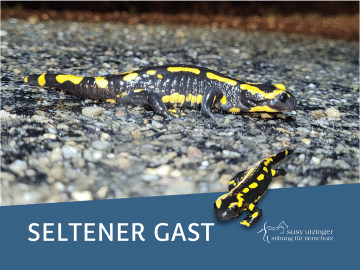 19201920p958EDNmainimg-336791955_585201910300469_6300008495183484725_n