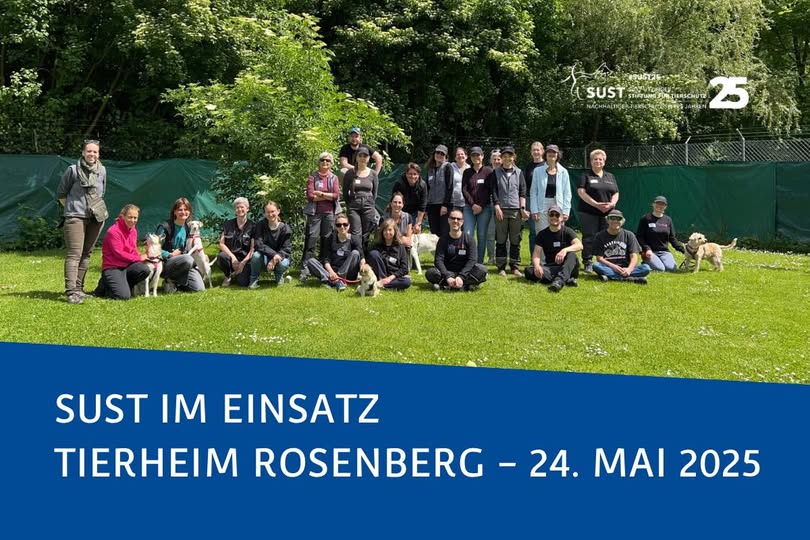 19201920p960EDNmainimg-2025_05_Tierheimeinsatz_Tierheim_Rosenberg