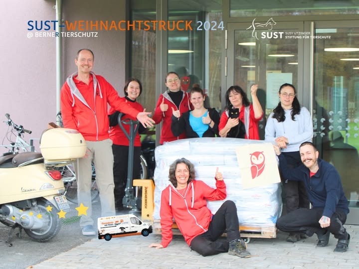 19201920p961EDNmainimg-2024_12_Weihnachtstruck_Berner_Tierschutz