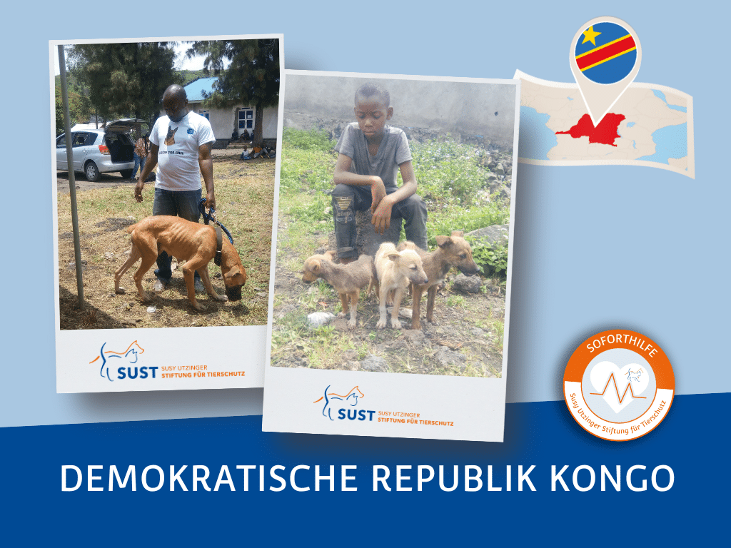 19201920p979EDNmainimg-2024—09—DRC-TollwutImpaktionen-2024-21