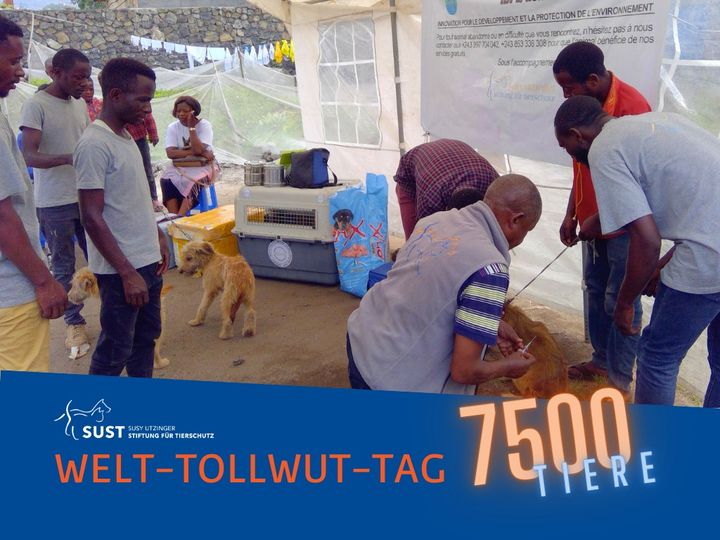 19201920p979EDNmainimg-2024_09_Welt_Tollwut_Tag