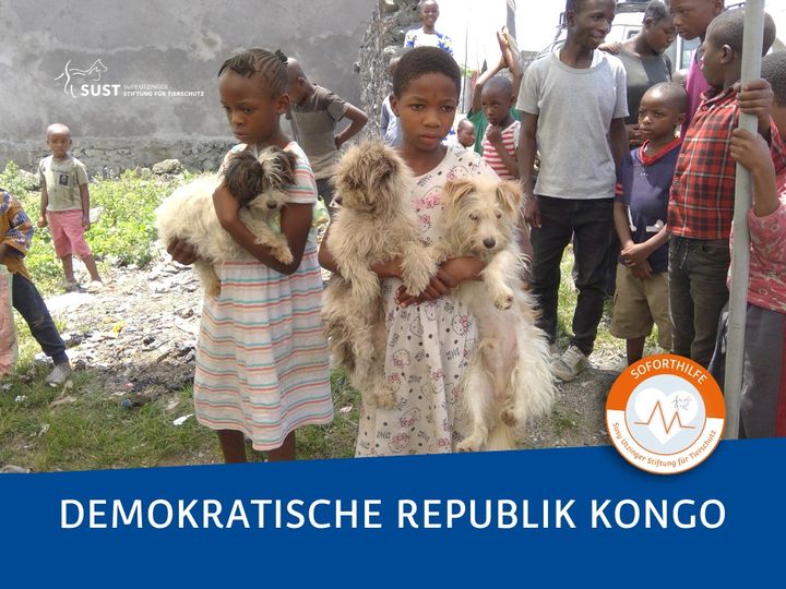 19201920p979EDNmainimg-2024_10_Demokraitsche_Republik_Kongo
