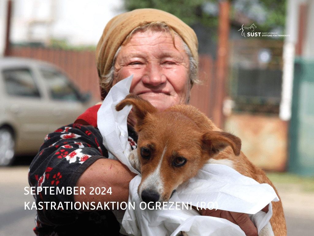 2024-09-KASTRA_RO_Ogrezeni37