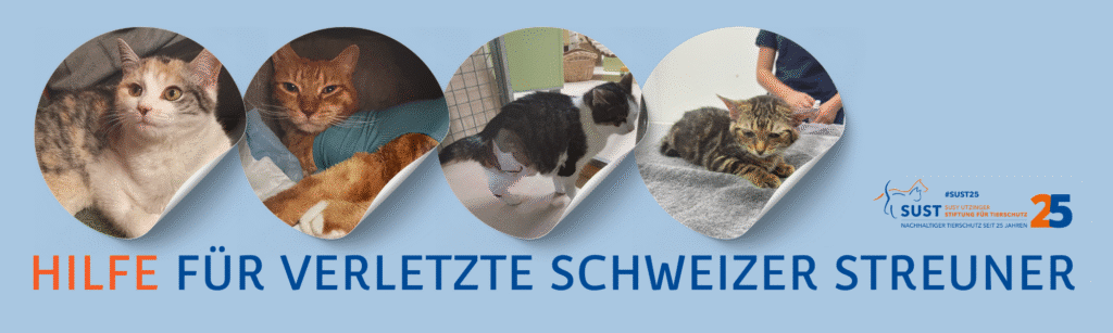 2025 - SUST Banner Sorgentierli