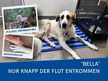 700700p1352EDNthumbimg-2024_09_Sturm_Boris_Bella