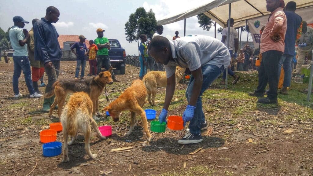 SOFORTHILFE - Tollwutbekämpfung