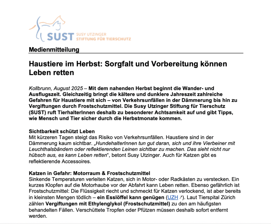 Vorschaubild zur Medienmitteilung