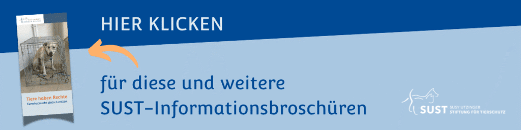 2024 - Webseite Banner Tier und Recht
