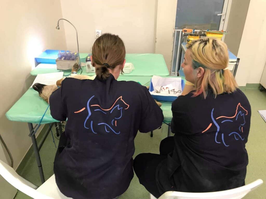 60142122_179733296295551_7304310366157144064_n