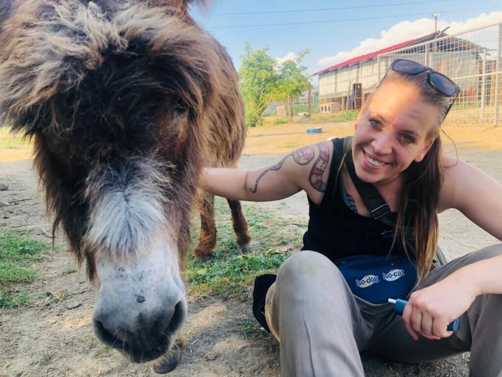 TIERHEIMUNTERSTÜTZUNG - Arbeitseinsätze in Tierheimen