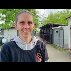 Symbolbild für das Crowdfunding „Isolierte Hundehütten für das SUST-Partnertierheim Mancsmentő HU“