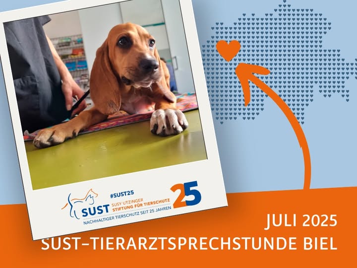 19201920p498EDNmainimg-2025_07_SOFT_Biel