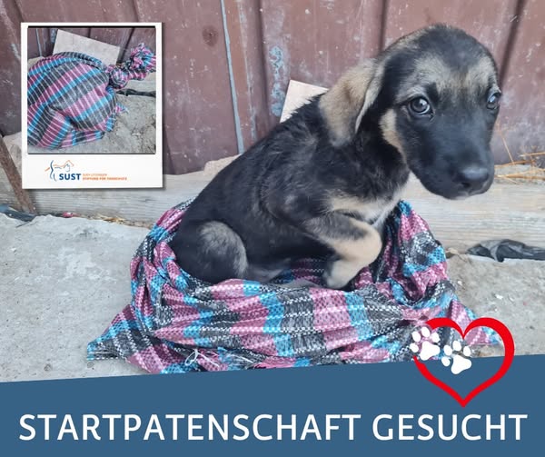 19201920p498EDNmainimg-2025_07_Startpatenschaft_Aruna