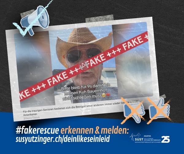 19201920p498EDNmainimg-2025_08_Dein_Like_sein_Leid_Fake_Rescue