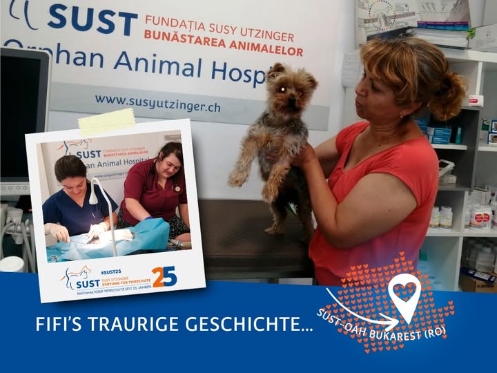 19201920p498EDNmainimg-2025_08_OAH_Bukarest_Fifi