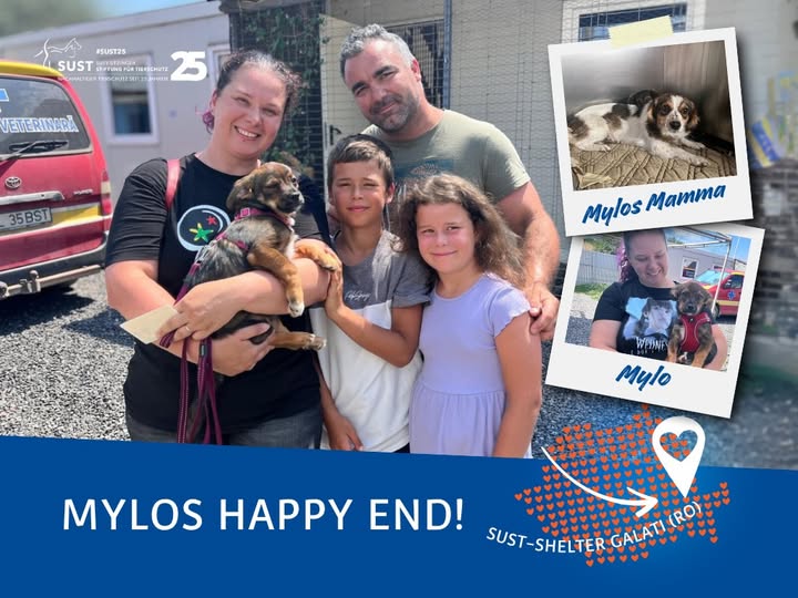 19201920p498EDNmainimg-2025_08_OAH_Galati_Mylos_Happy_End