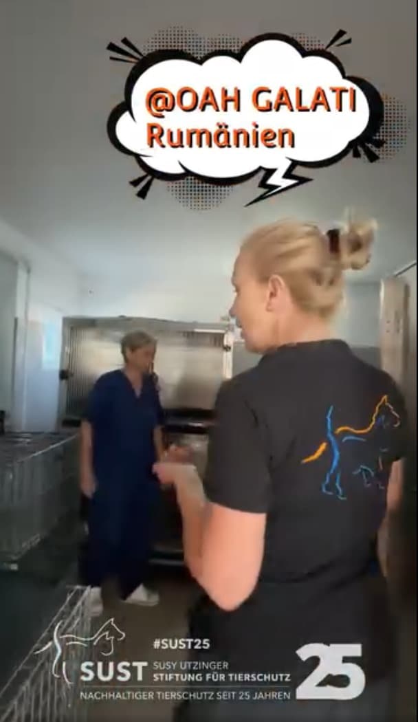 19201920p498EDNmainimg-2025_09_10_Jahre_OAH_Galati