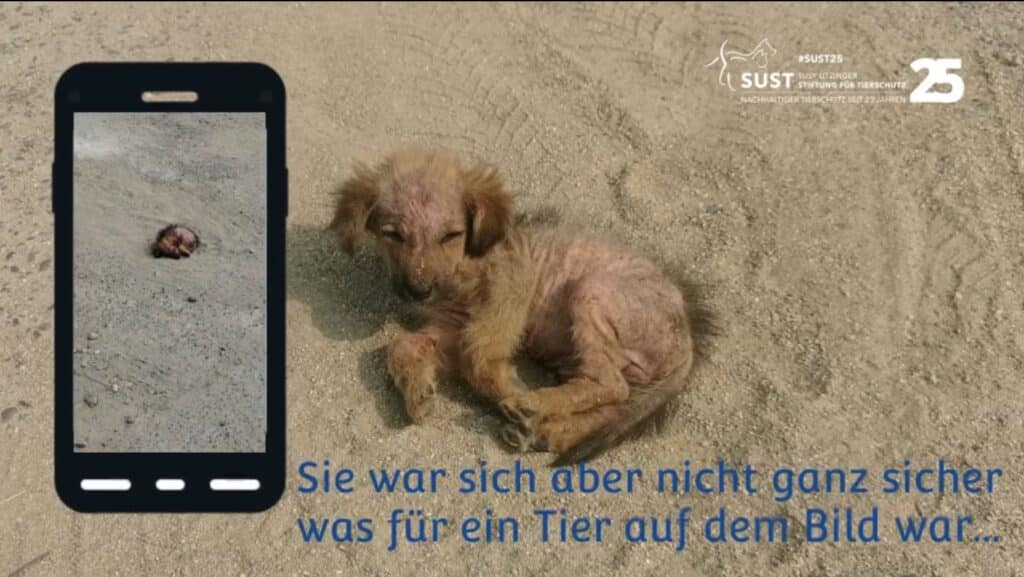 19201920p498EDNmainimg-2025_09_Hundemädchen_OAH_Moreni