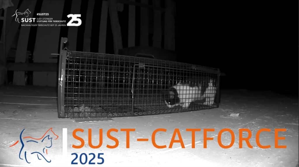 19201920p498EDNmainimg-2025_09_SUST_Catforce_2025