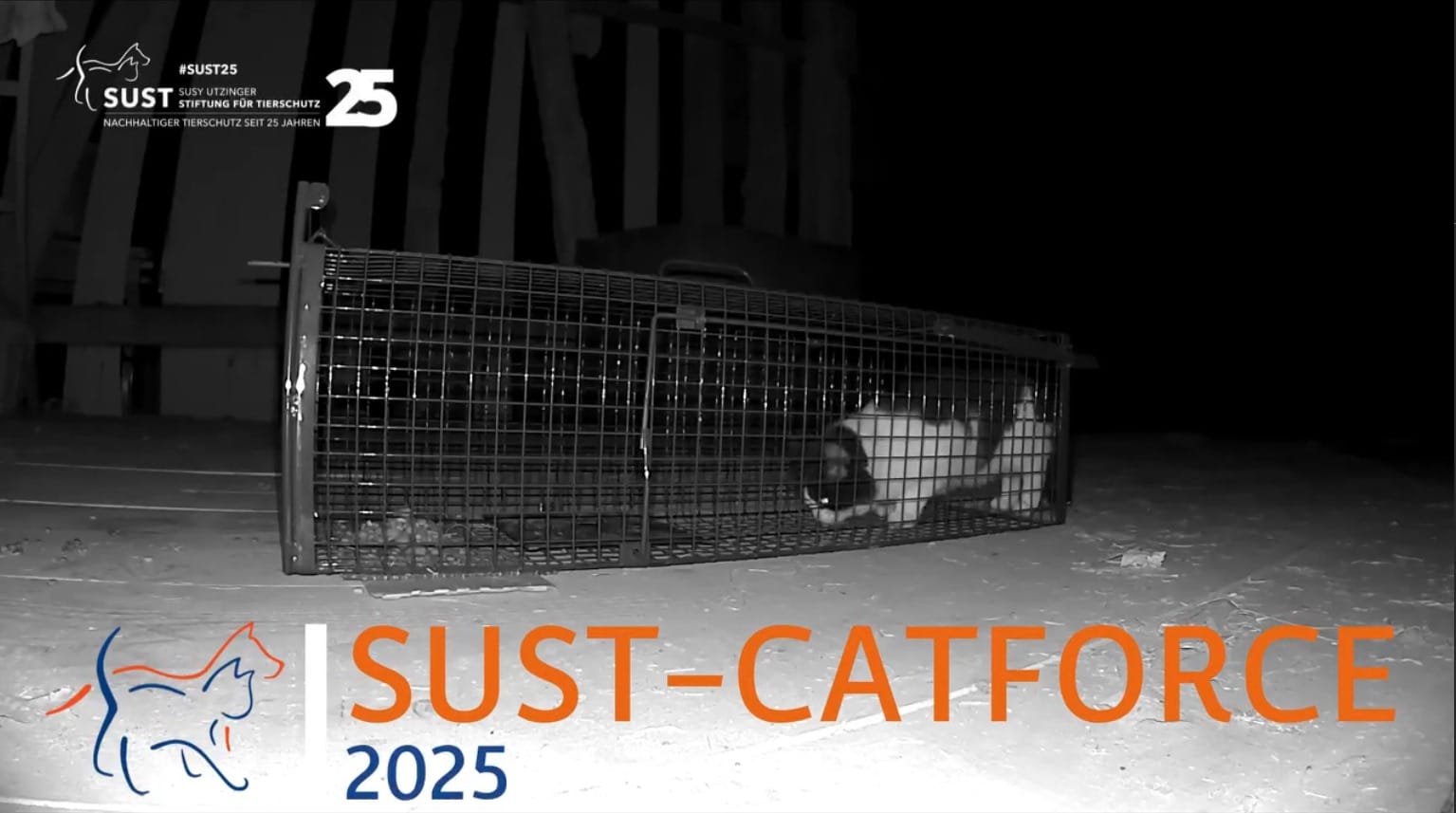 19201920p498EDNmainimg-2025_09_SUST_Catforce_2025