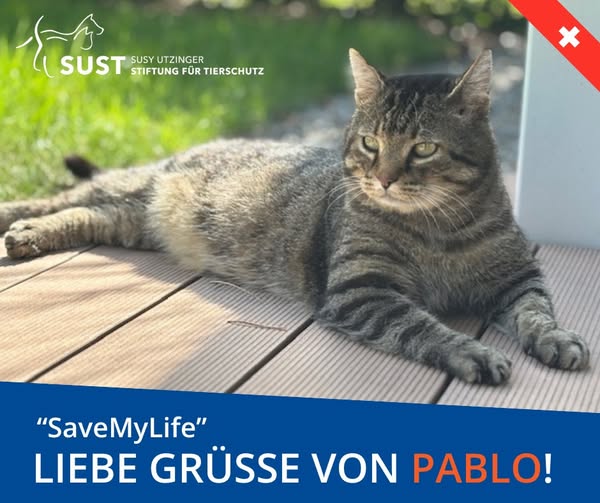 19201920p498EDNmainimg-2025_09_Save_my_Life_Pablo