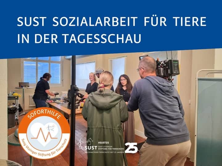 19201920p498EDNmainimg-2025_10_SOFT_Tagesschau