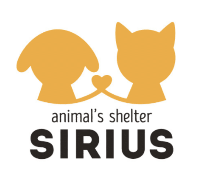 19201920p569EDNmainimg-Bildschirmfoto-2023-10-04-um-11.01.53